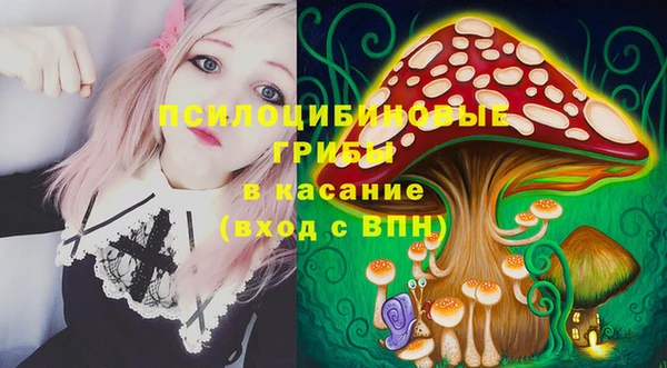 соль ск Балахна