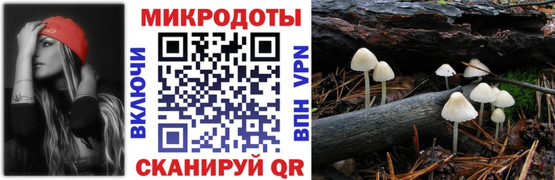 купить закладку  Славгород  Псилоцибиновые грибы Psilocybe 