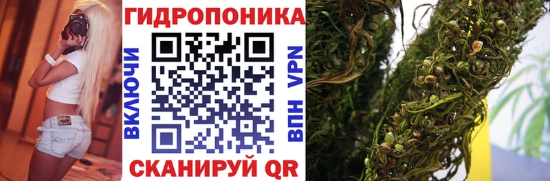 даркнет как зайти купить Славгород Бошки Шишки марихуана МЕГА зеркало